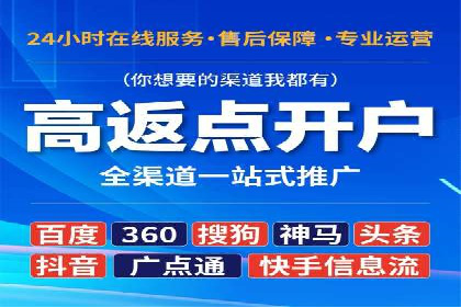 百度SEO推广策略全解析：某企业从零到一的成长历程